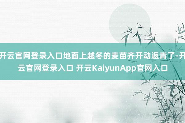 开云官网登录入口地面上越冬的麦苗齐开动返青了-开云官网登录入口 开云KaiyunApp官网入口