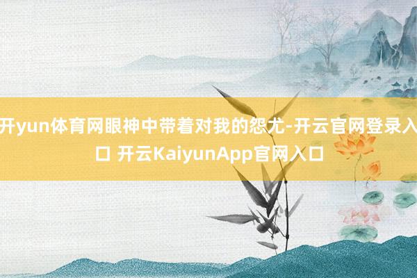 开yun体育网眼神中带着对我的怨尤-开云官网登录入口 开云KaiyunApp官网入口